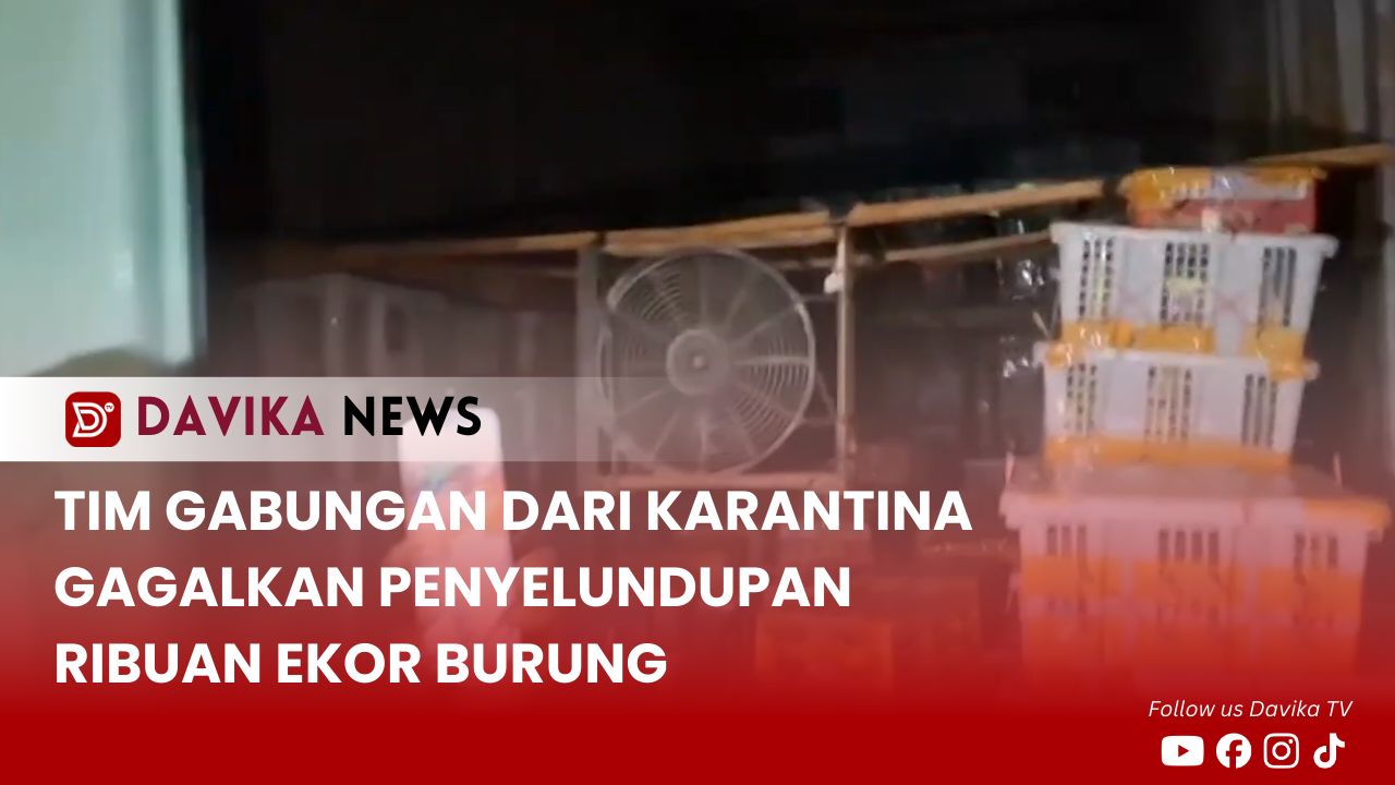 TIM GABUNGAN DARI KARANTINA GAGALKAN PENYELUNDUPAN RIBUAN EKOR BURUNG